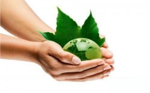 Eco-Friendly Materials Image