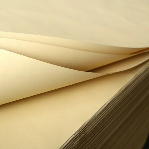 Eco-Friendly Paper Image